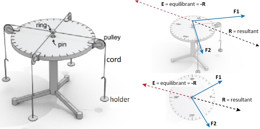 ../_images/M1_ForceTable_06_table.jpg
