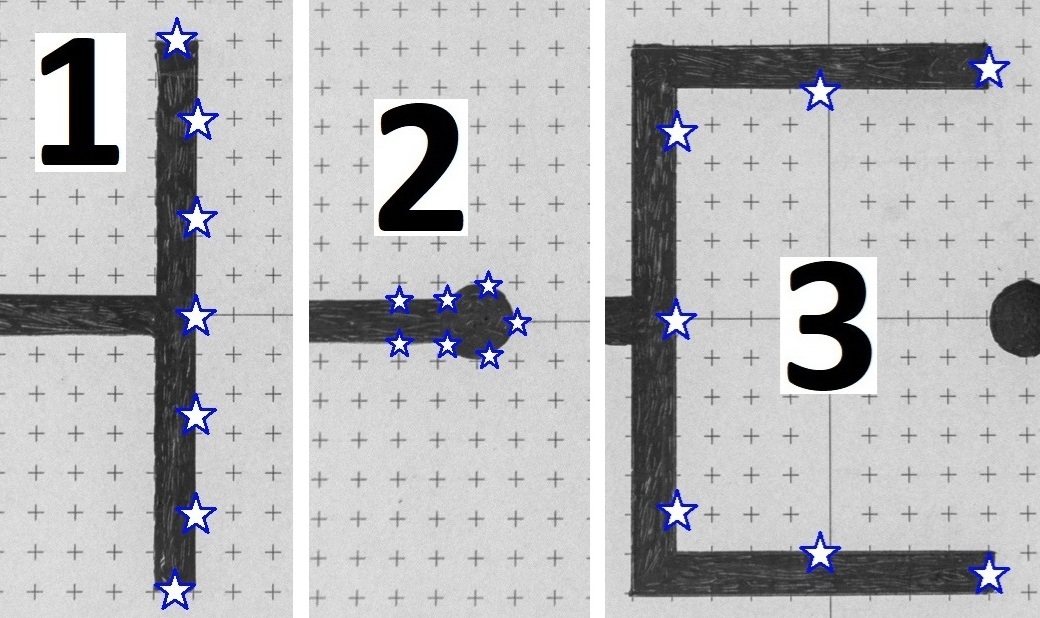 Electrode configurations. The stars show minimum required starting positions for E-field lines.
