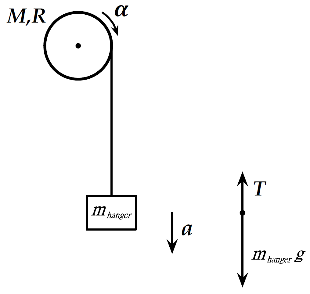 Left: Sketch of a pulley of mass M and radius R being accelerated by a hanging mass m_\text{hanger}. Note that the pulley in the lab is actually horizontal, but is drawn vertically here for simplicity. Right: Force diagram for the hanging mass m_\text{hanger}.