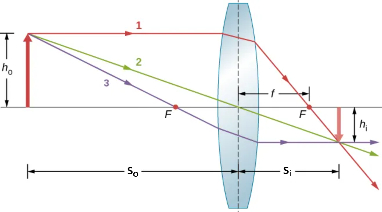 For magnification, the height of the object and the height of the image are indicated by h_o and h_i, respectively. Ray tracing is used to locate the image formed by a lens. Rays originating from the same point on the object are traced, each following one of the rules for ray tracing, so that their paths are easy to determine. The image is located at the point where the rays cross. In this case, a real image (projectable onto a screen) is formed and is inverted. Assuming scale is accurate, magnification is negative and |m| \lt 1 as image is smaller than object.