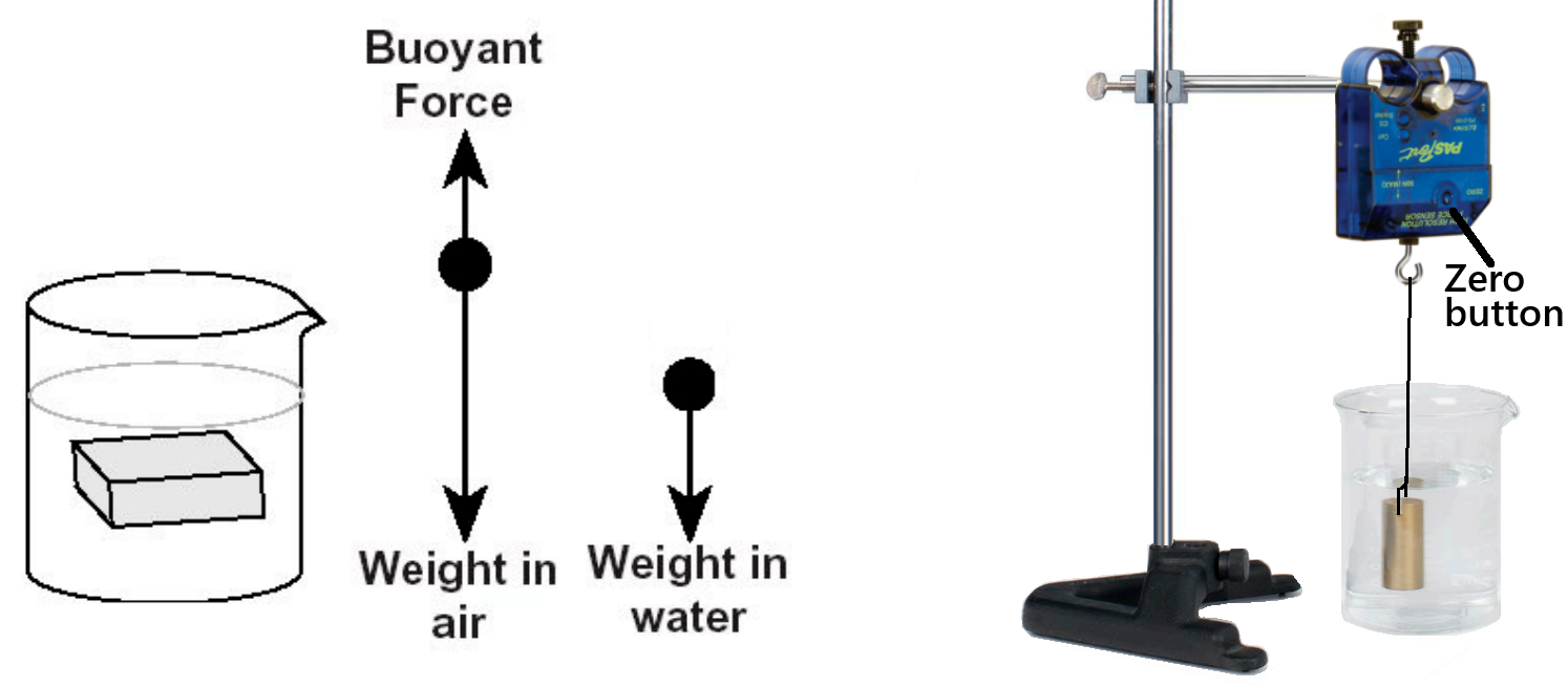 Left) Force diagram. Apparent weight in water is the difference of weight in air and buoyant force. Right) Force sensor measuring apparent weight of object in water.